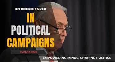 Political Campaign Spending: A Costly Affair