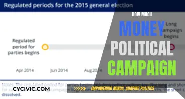 Money Talks: Political Campaigns and Their Costs