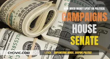 Money and Politics: The Cost of Democracy