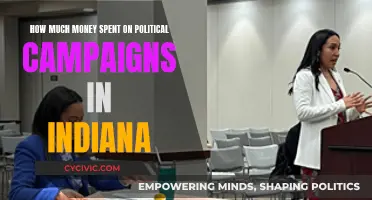 Indiana's Political Campaign Spending: Millions and Rising