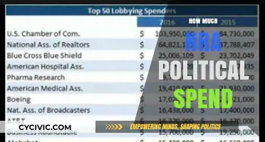NRA's Political Spending: Unveiling the Financial Influence and Impact
