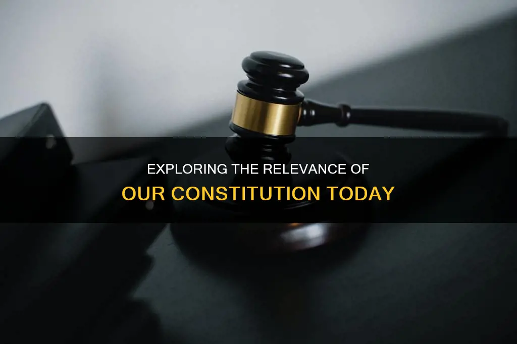 how much of our constitution is still valid