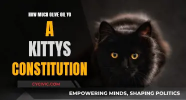 Olive Oil for Cats: Dosage and Benefits