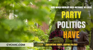 National vs. Local Party Politics: Analyzing Overlap and Divergence in Policy and Strategy