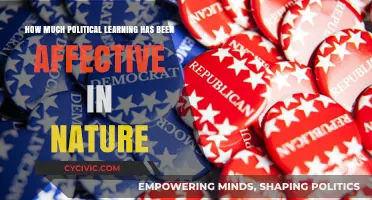 Exploring the Impact of Affective Learning in Political Education