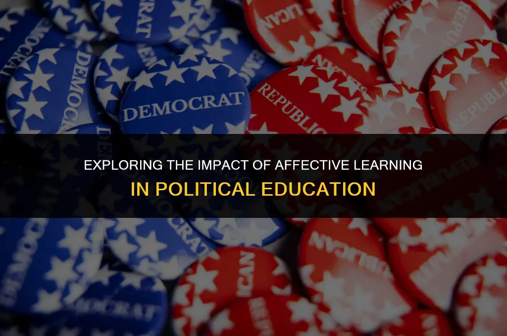 how much political learning has been affective in nature