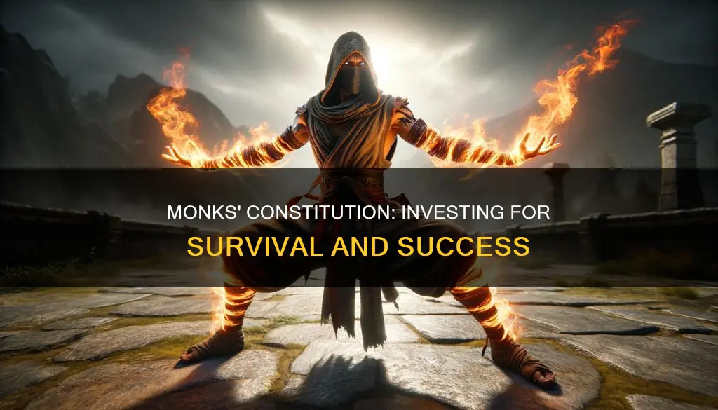 how much should monks invest in constitution dnd