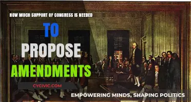 Congressional Amendments: What Support Is Needed?