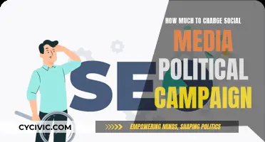 Charging for Social Media Political Campaigns: How Much is Too Much?