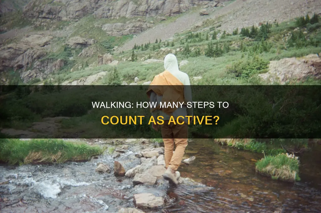 how much walking per day constitutes active for calorie calculator
