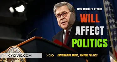 The Mueller Report's Impact: A Political Landscape Redefined