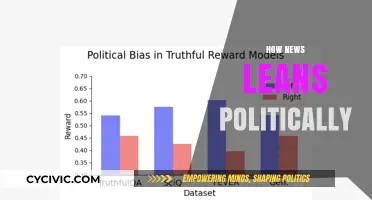 Unveiling Political Bias: Analyzing News Media's Ideological Slant and Impact