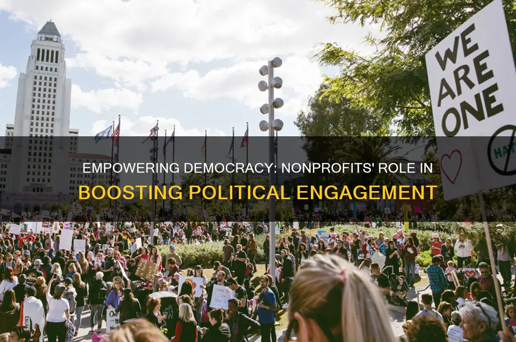 how nonprofits promote political participation