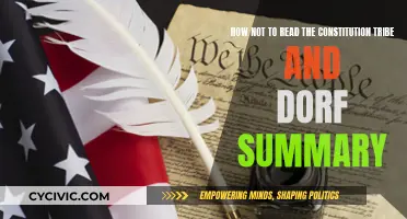 Understanding the Constitution: A Critical Summary