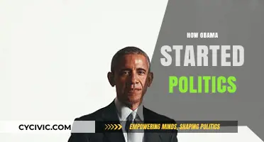 Obama's Political Awakening: The Early Journey to Public Service