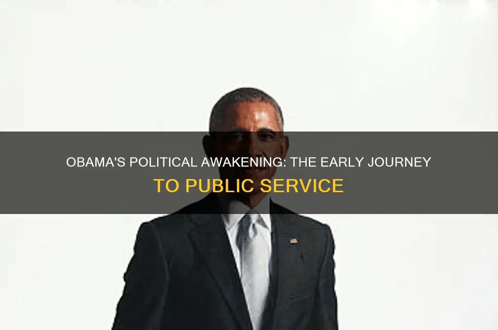how obama started politics