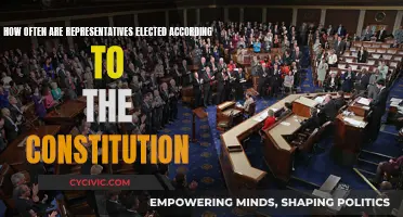 Representatives' Election Cycles: Constitutional Insights