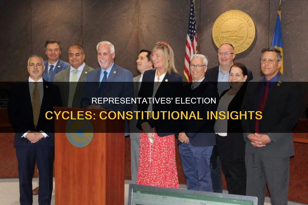 how often are representatives elected according to the constitution