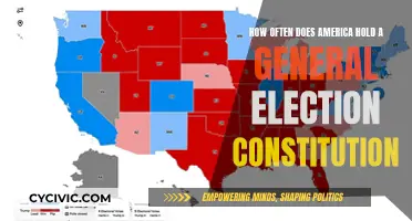 America's Electoral Cycle: How Often Do They Vote?