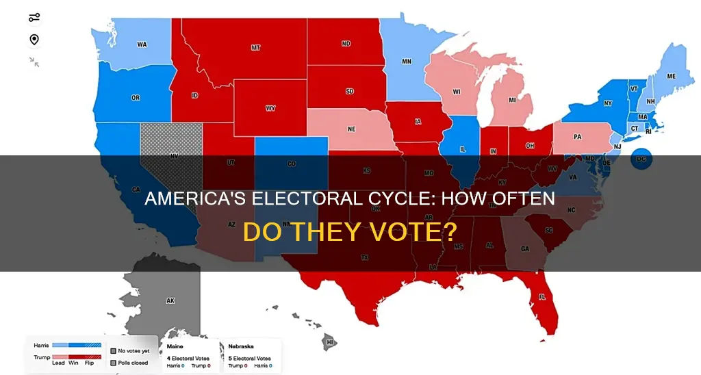 how often does america hold a general election constitution