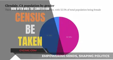 The Constitution Census: How Often?