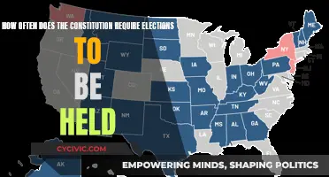 Electoral Timelines: Elections and the Constitution