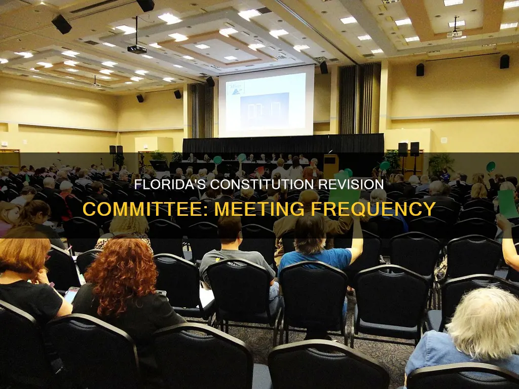 how often does the constitution revision committee meet