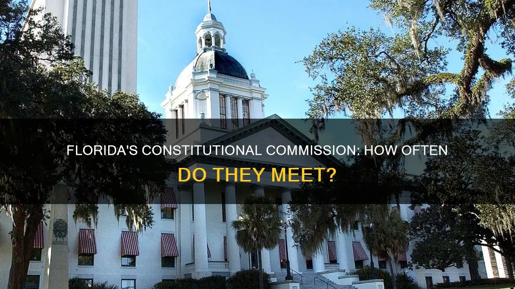 how often does the florida constitutional commission meet