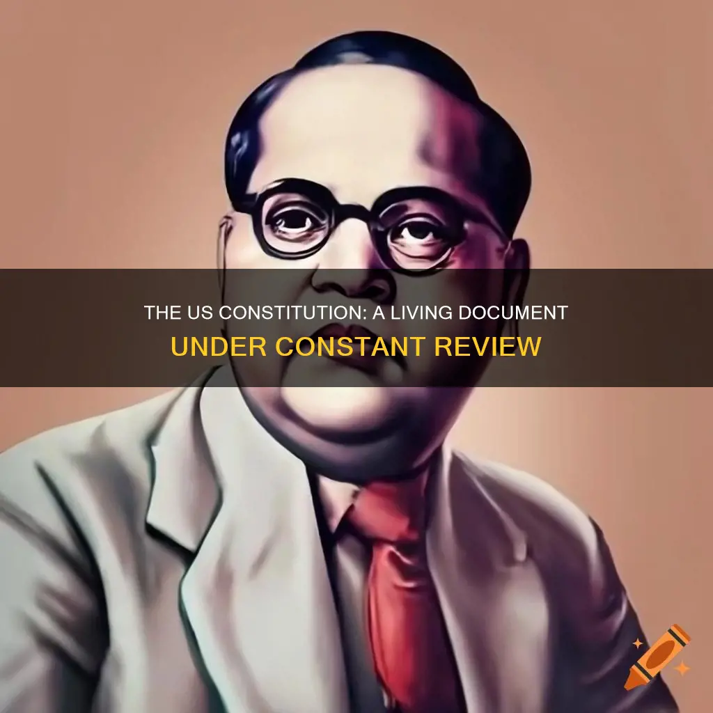 how often does the us constitution get reviewed