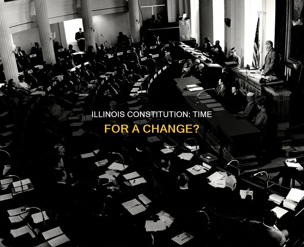 how often must illinois call for a new constitution