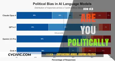 Your Political Age: Uncovering Your Ideological Generation and Beliefs