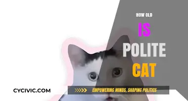 Discovering Polite Cat's Age: A Fascinating Journey Through Time