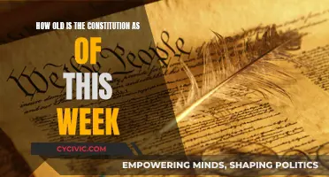 The Constitution's Age: A Historical Perspective