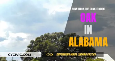 Alabama's Constitution Oak: A Historic Tree's Age