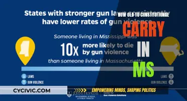 Mississippi's Constitutional Carry Law: Age Requirements and More
