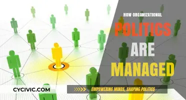 Navigating Organizational Politics: Strategies for Effective Management and Success