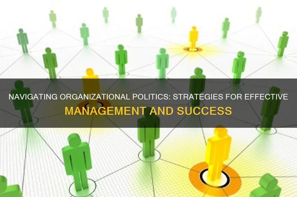 how organizational politics are managed