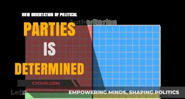 Understanding the Ideological Compass: How Political Parties Define Their Orientation