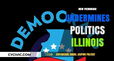 How Patronage Undermines Illinois Politics: A Deep Dive