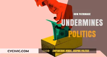 Patronage Politics: How Favoritism Erodes Democracy and Public Trust