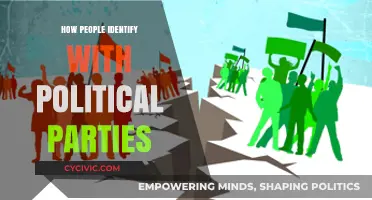 Understanding Political Identity: How Individuals Align with Parties and Ideologies