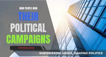 Political Campaigns: Self-Destructing Candidates and Their Missteps