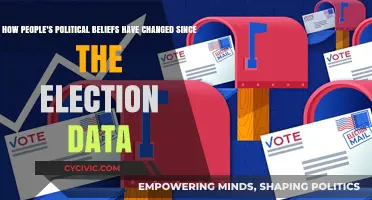 Shifting Landscapes: Post-Election Political Beliefs in Flux