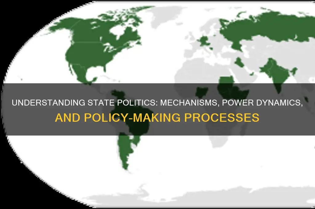 how politic work in state