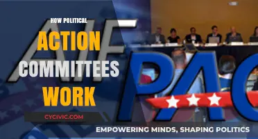 Understanding Political Action Committees: Functions, Influence, and Operations Explained
