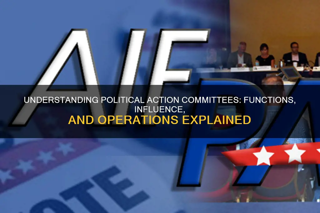 how political action committees work