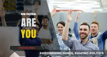 How Political Are You? Exploring Your Civic Engagement and Beliefs