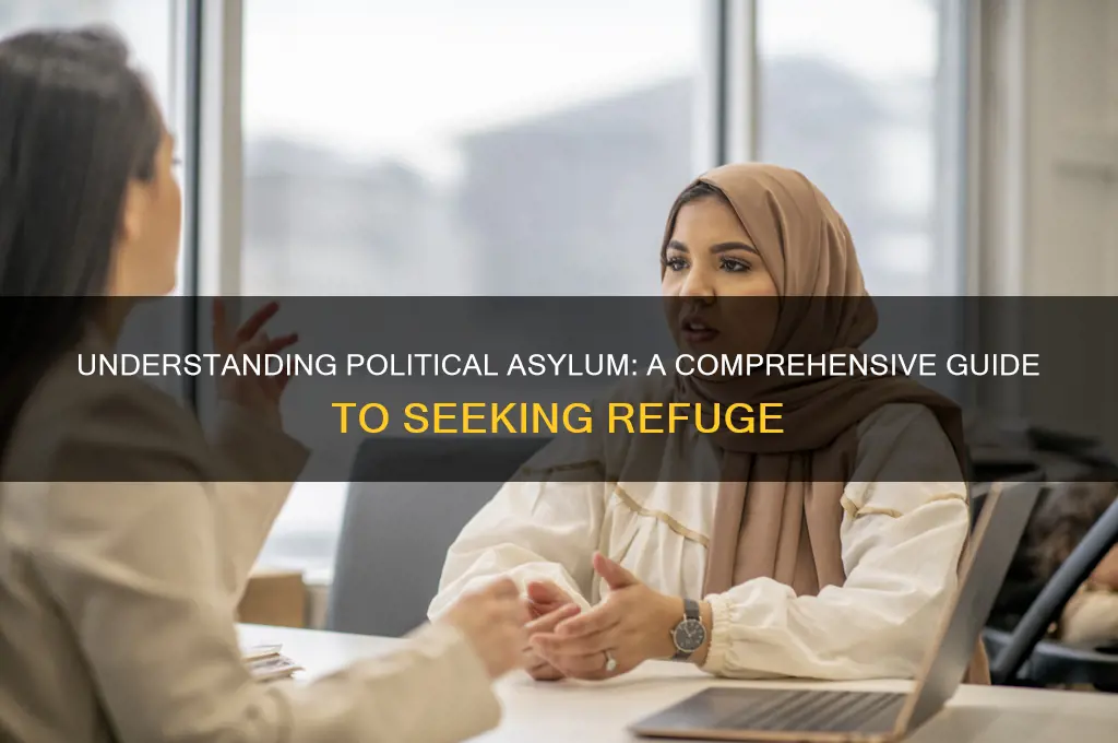 how political asylum works