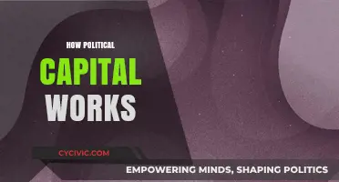 Understanding Political Capital: Power, Influence, and Strategic Resource Utilization