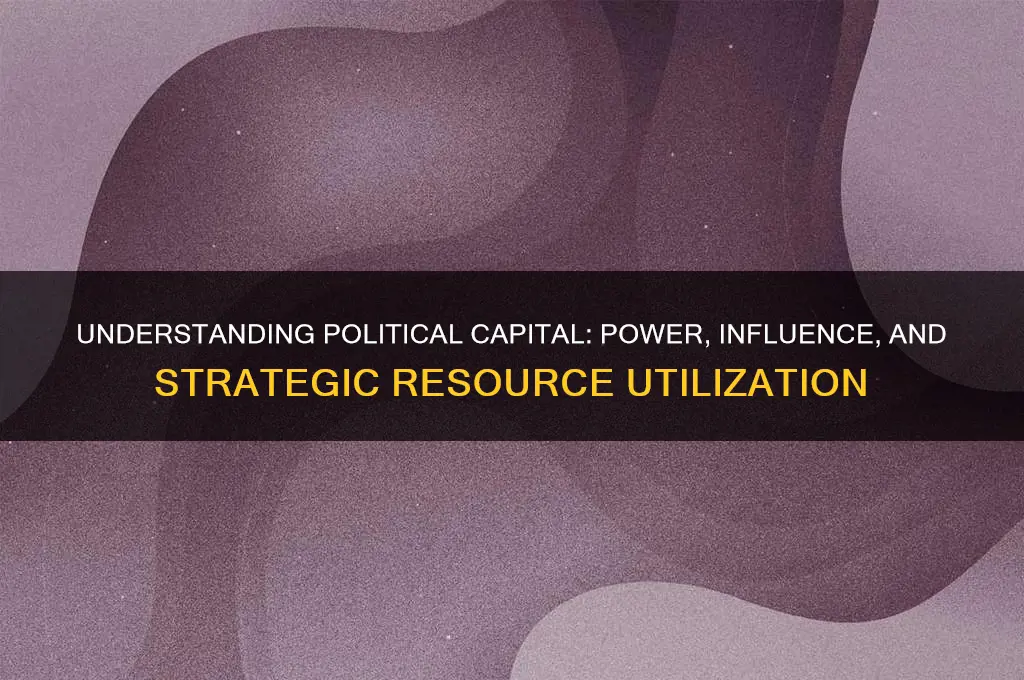 how political capital works